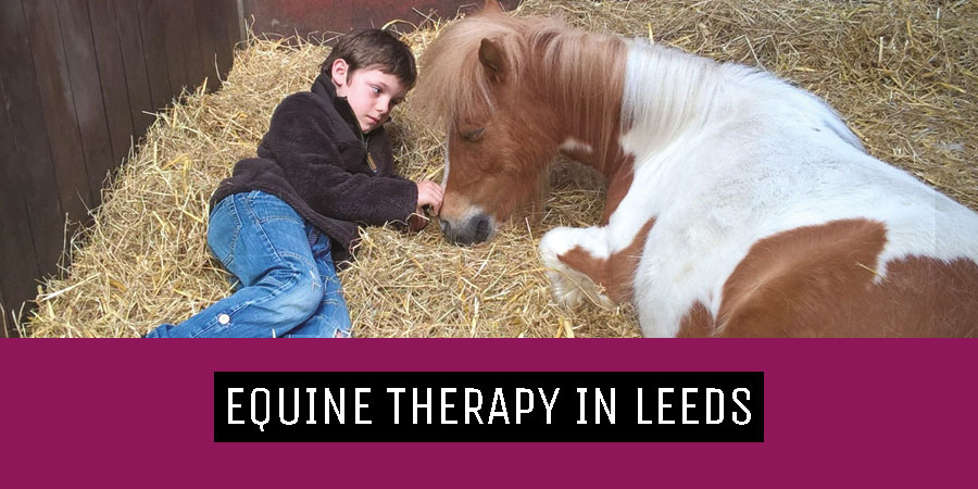 Equine Therapy in