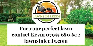 Lawns-in-leeds_900x450